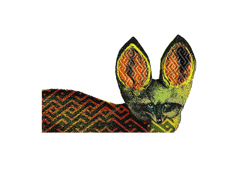 Bat-Ear Fox
