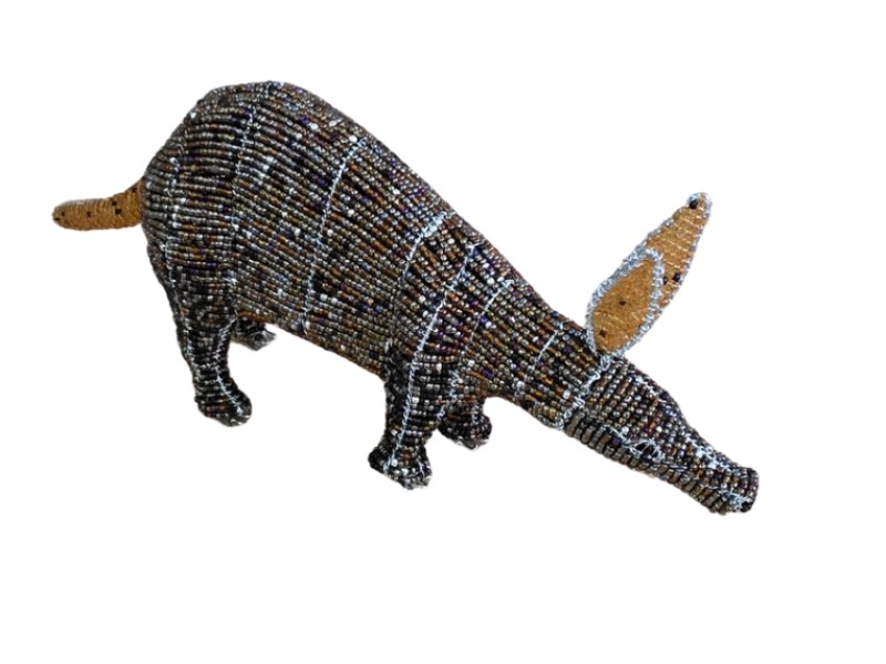 Wild At Art Aardvark