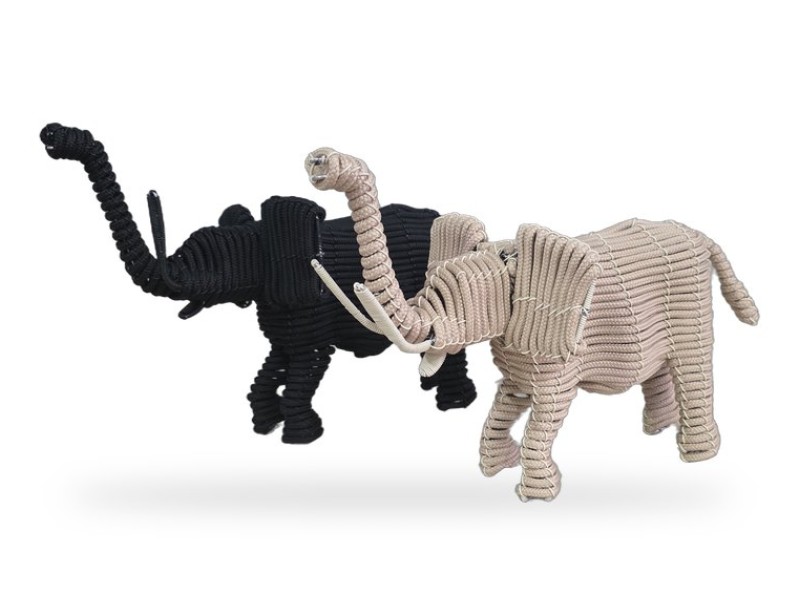 Africa in Colour Elephant