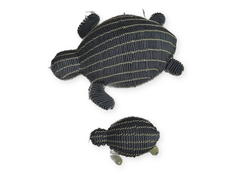 Coastal Turtle Wall Art &mdash; Large