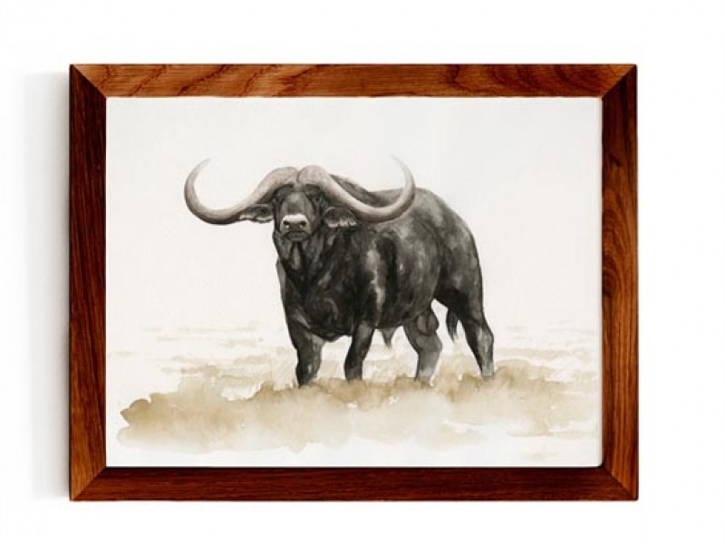 Animal Wildlife Print - Tough Guy Buffalo