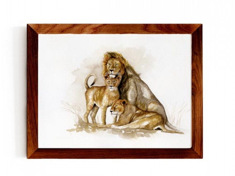 Animal Wildlife Print - Family Potrait - Lions