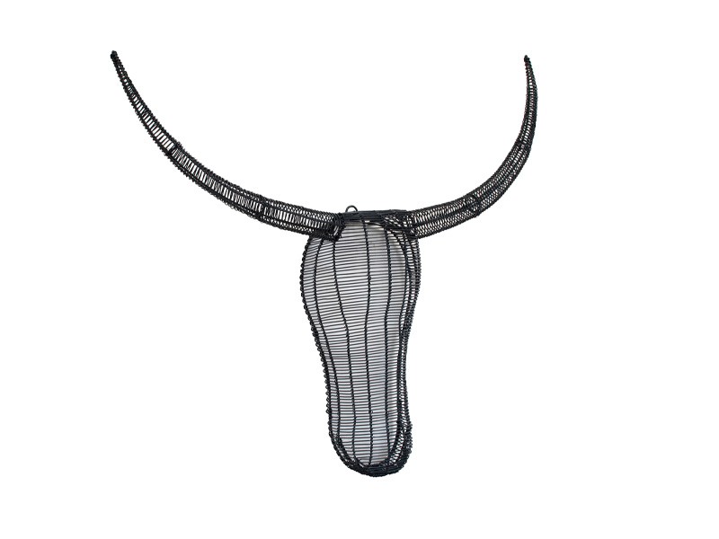 Anthracite Grey Nguni Head