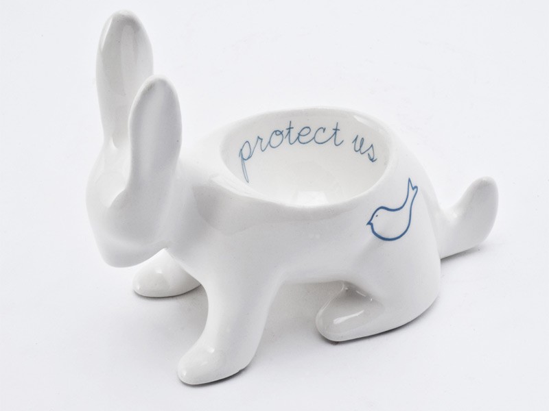 Protect Us Riverine Rabbit Protect Us Riverine Rabbit