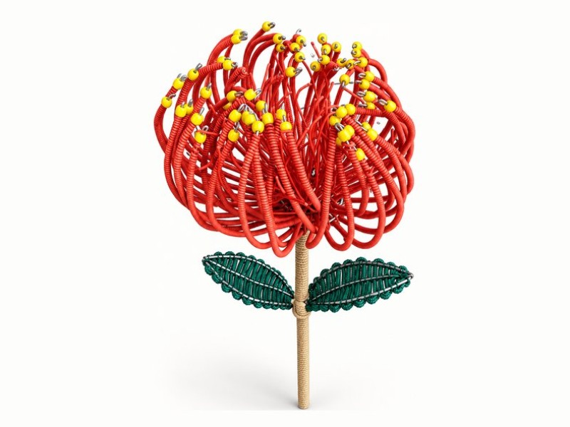 Africa in Colour Pincushion Protea Rope Flower Stem