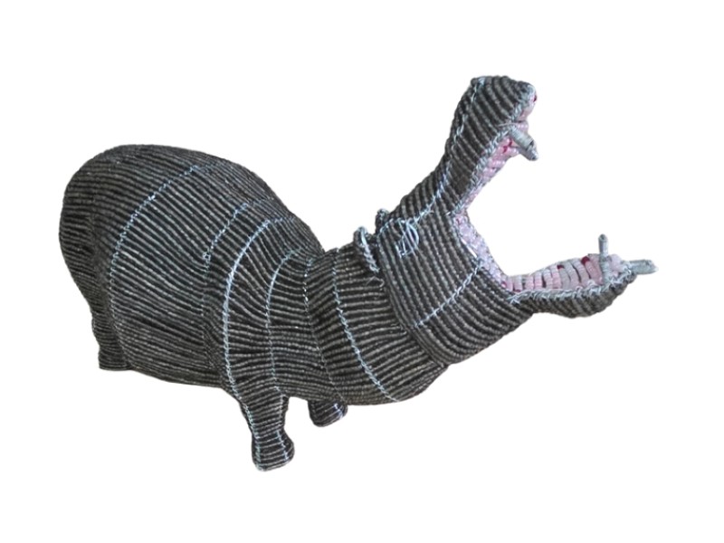 Hippo side