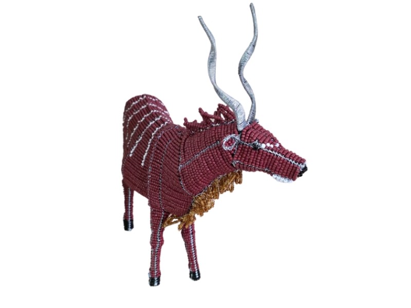 Kudu Front