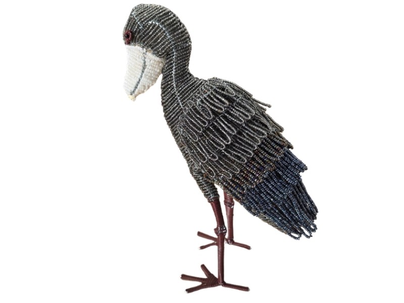 Shoebill Stork  Side