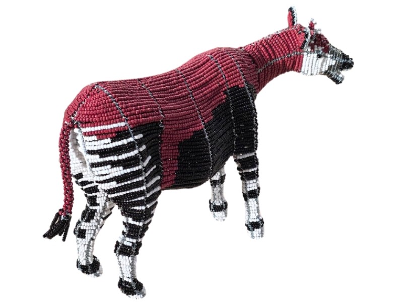Okapi Back