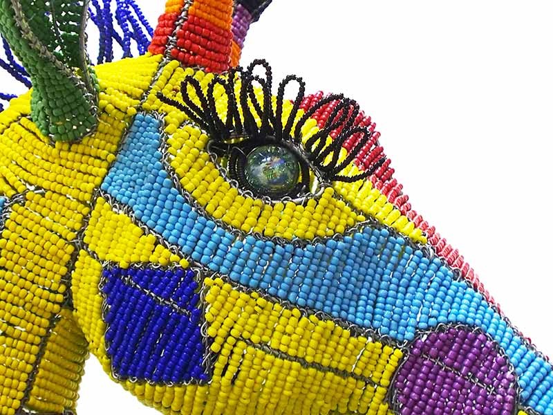 Giraffe Head - Close Up Giraffe Head - Close Up