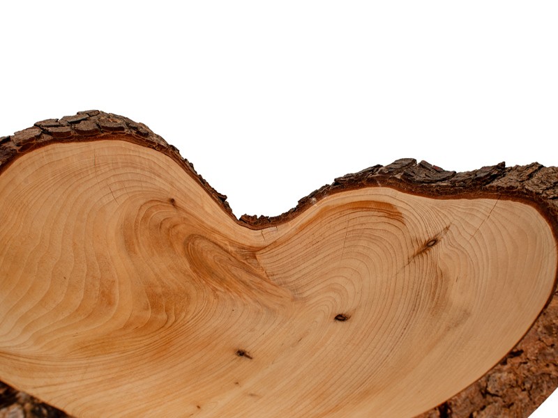 Close up of wood grain